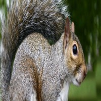 Портфолио Harris